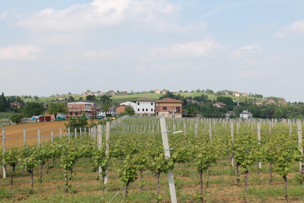 Agriturismo Le Casette Castelvetro di Modena Eksteriør billede