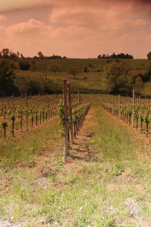 Agriturismo Le Casette Castelvetro di Modena Eksteriør billede