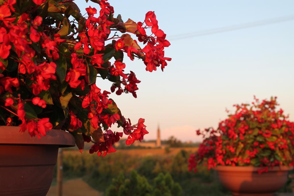 Agriturismo Le Casette Castelvetro di Modena Eksteriør billede