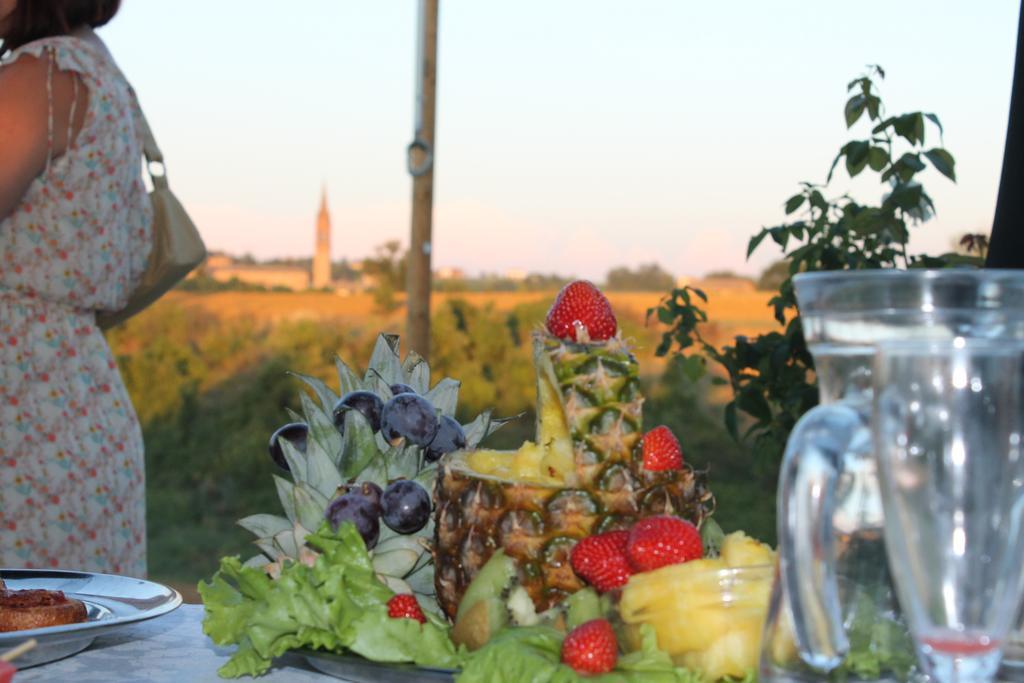 Agriturismo Le Casette Castelvetro di Modena Eksteriør billede